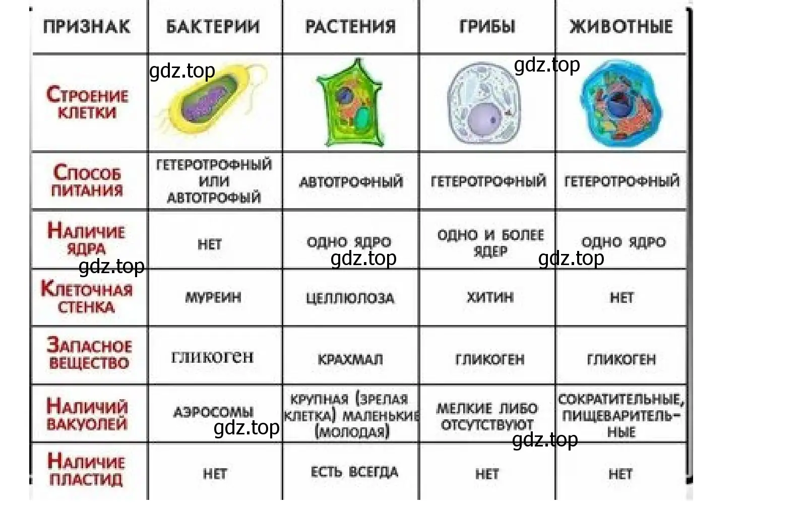 Решение номер 3 (страница 91) гдз по биологии 5 класс Пономарева, Николаев, учебник