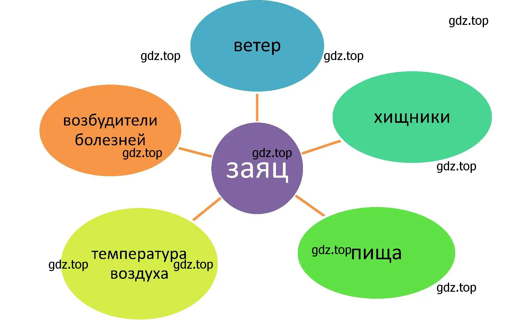 Решение номер 1 (страница 142) гдз по биологии 5 класс Пономарева, Николаев, учебник