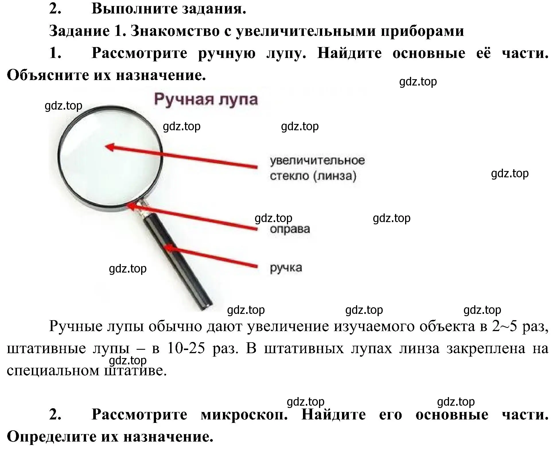 Решение номер 1 (страница 38) гдз по биологии 5 класс Пономарева, Николаев, учебник