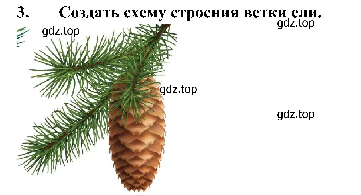 Решение номер 3 (страница 64) гдз по биологии 5 класс Пономарева, Николаев, учебник