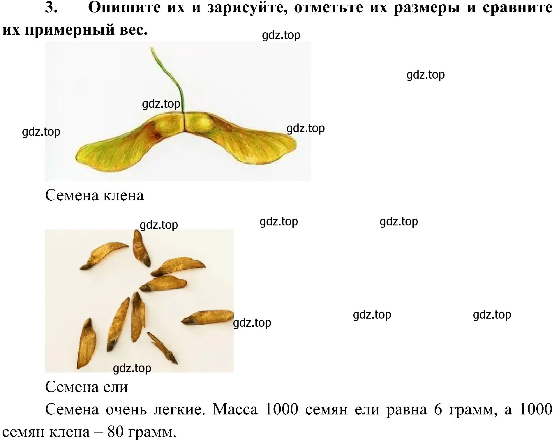 Решение номер 3 (страница 106) гдз по биологии 5 класс Пономарева, Николаев, учебник