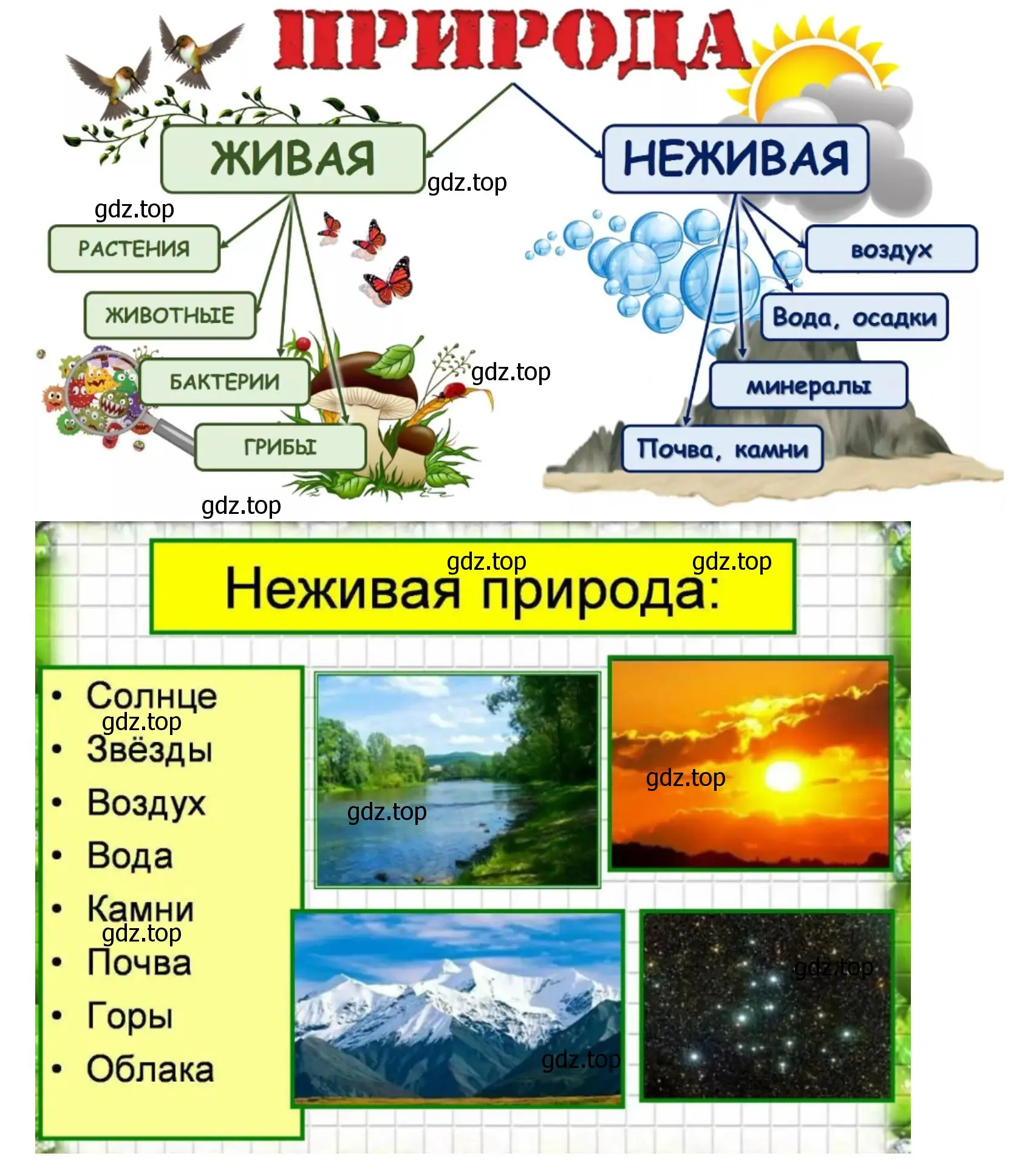 Создайте наглядное пособие о неживой природе