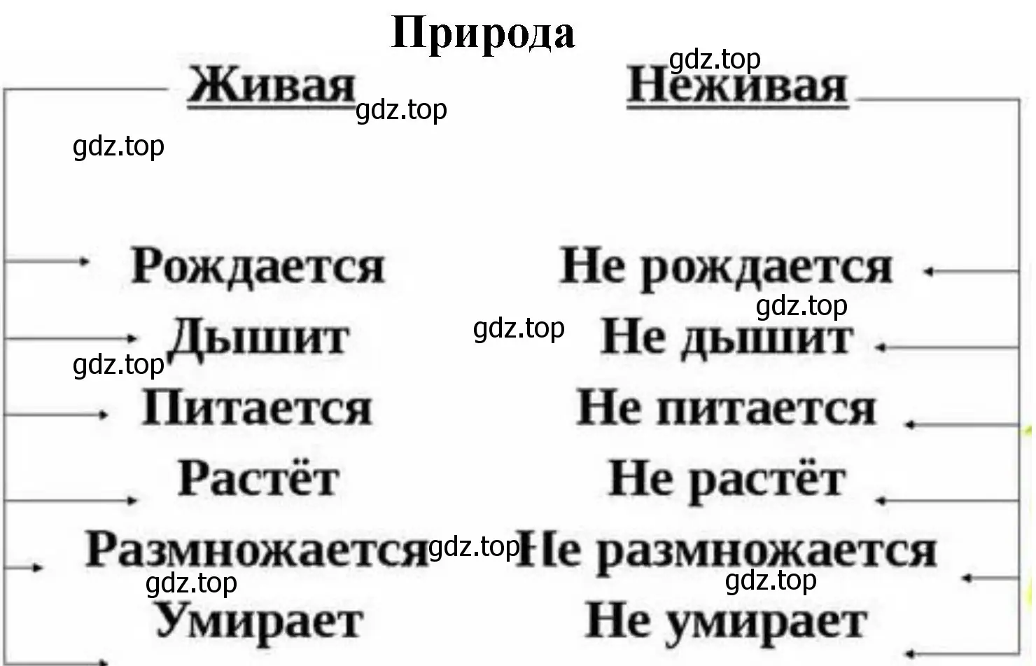 Создайте таблицу для отображения сходства и различия живой и неживой природы