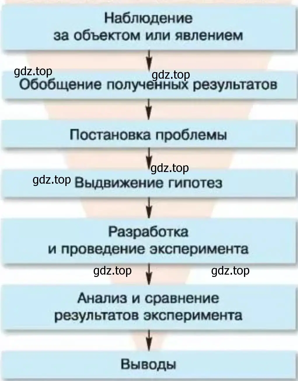 Создайте схему последовательности действий орнитолога в его исследовании птиц