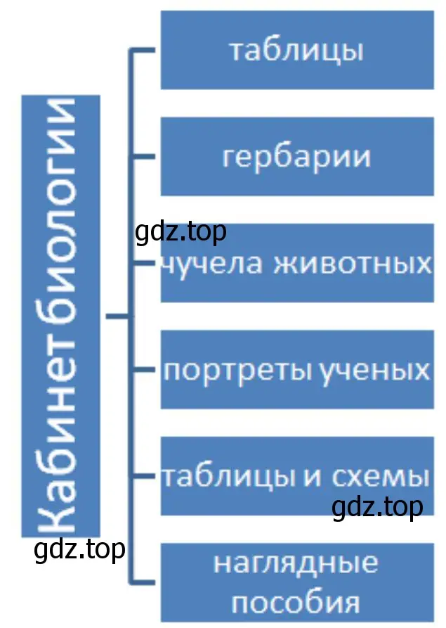 предложите план своего исследования.