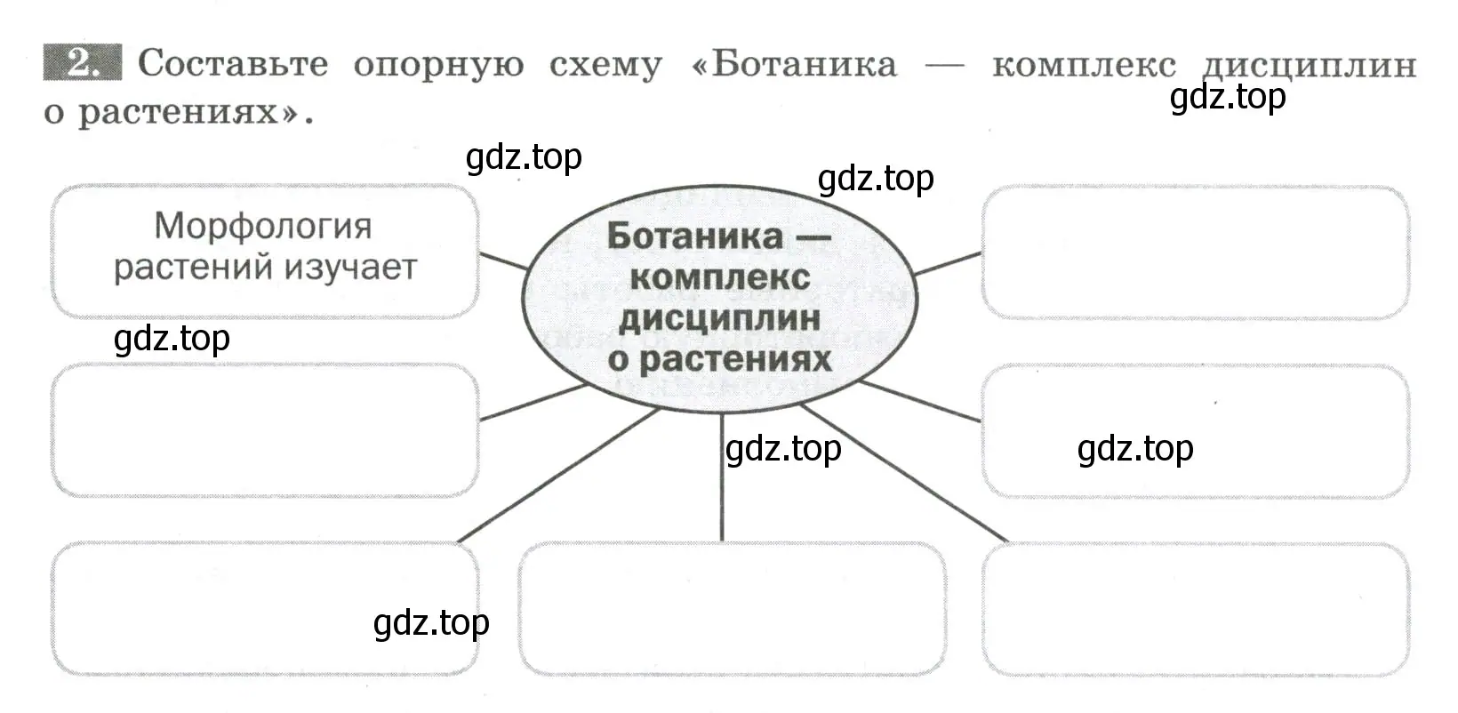 Условие номер 2 (страница 4) гдз по биологии 6 класс Пасечник, Суматохин, рабочая тетрадь