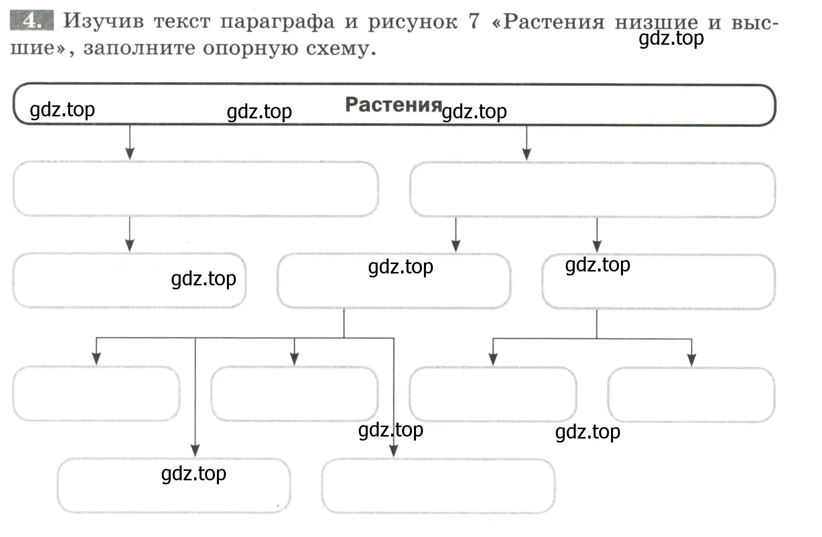 Условие номер 4 (страница 7) гдз по биологии 6 класс Пасечник, Суматохин, рабочая тетрадь