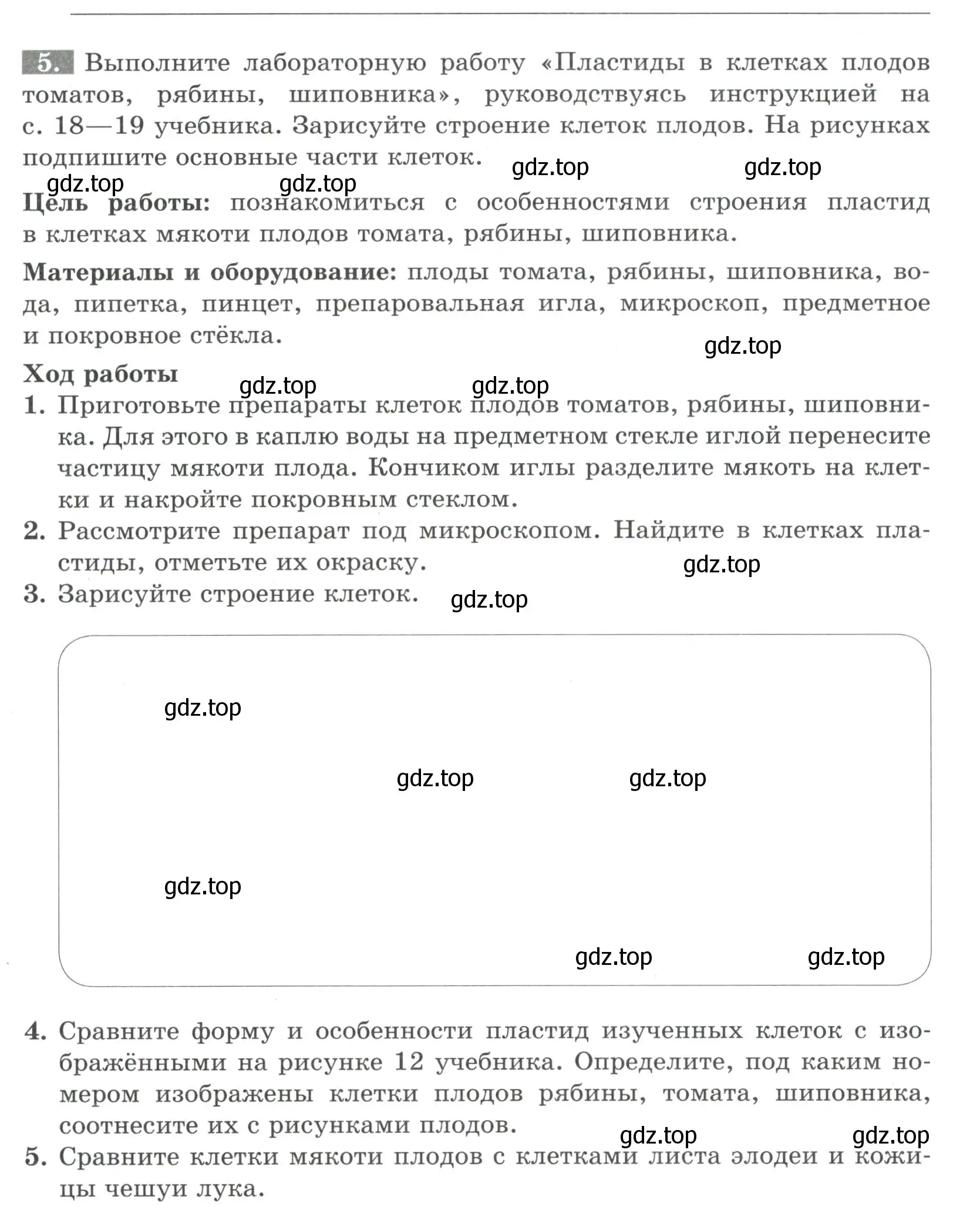 Условие номер 5 (страница 11) гдз по биологии 6 класс Пасечник, Суматохин, рабочая тетрадь