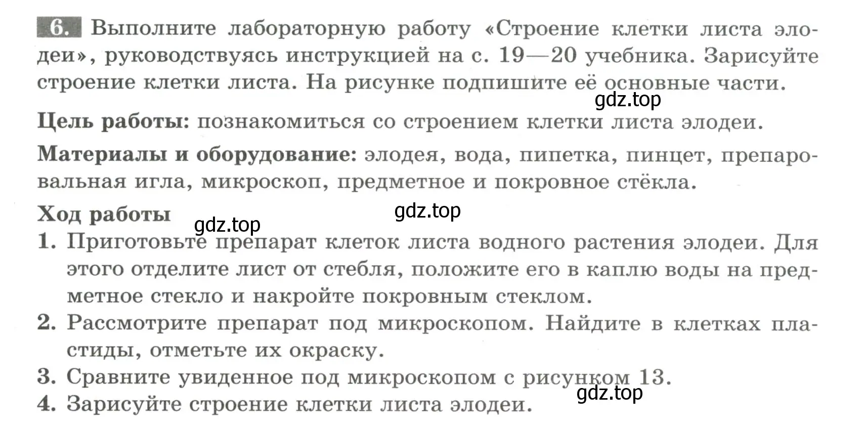 Условие номер 6 (страница 12) гдз по биологии 6 класс Пасечник, Суматохин, рабочая тетрадь