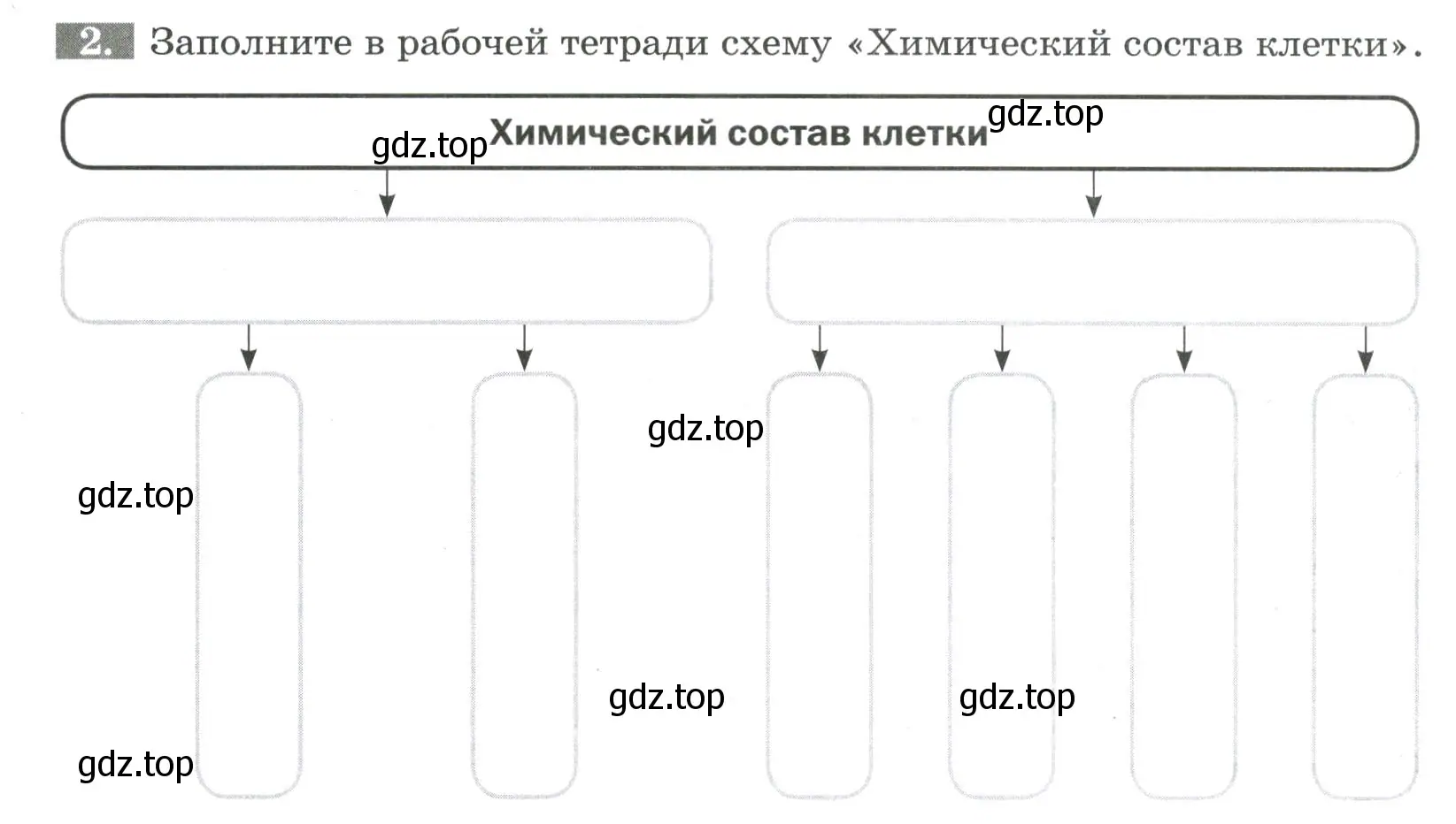 Условие номер 2 (страница 14) гдз по биологии 6 класс Пасечник, Суматохин, рабочая тетрадь