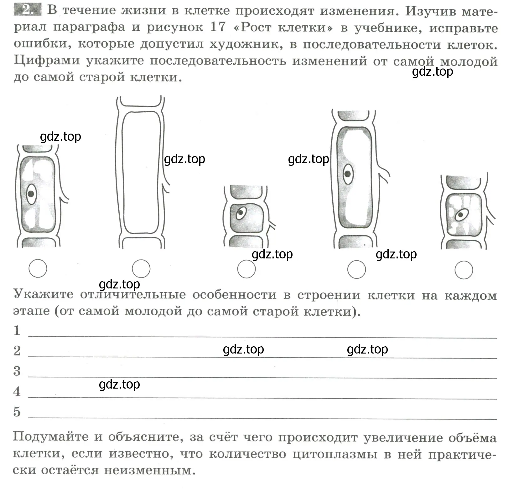 Условие номер 2 (страница 17) гдз по биологии 6 класс Пасечник, Суматохин, рабочая тетрадь