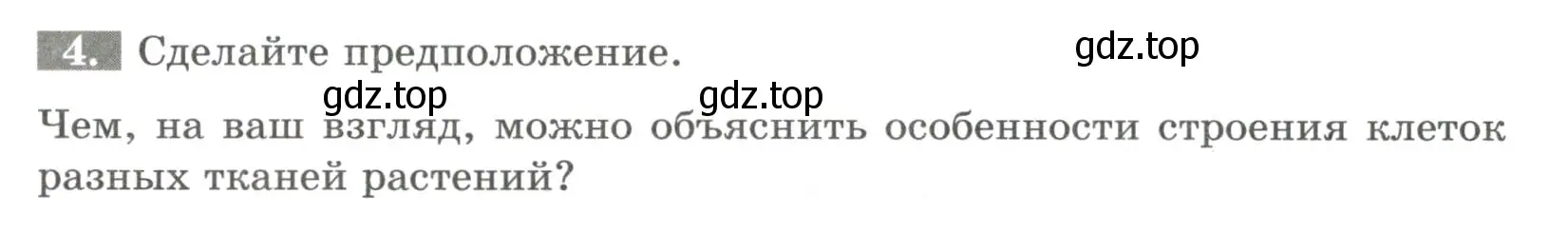 Условие номер 4 (страница 21) гдз по биологии 6 класс Пасечник, Суматохин, рабочая тетрадь