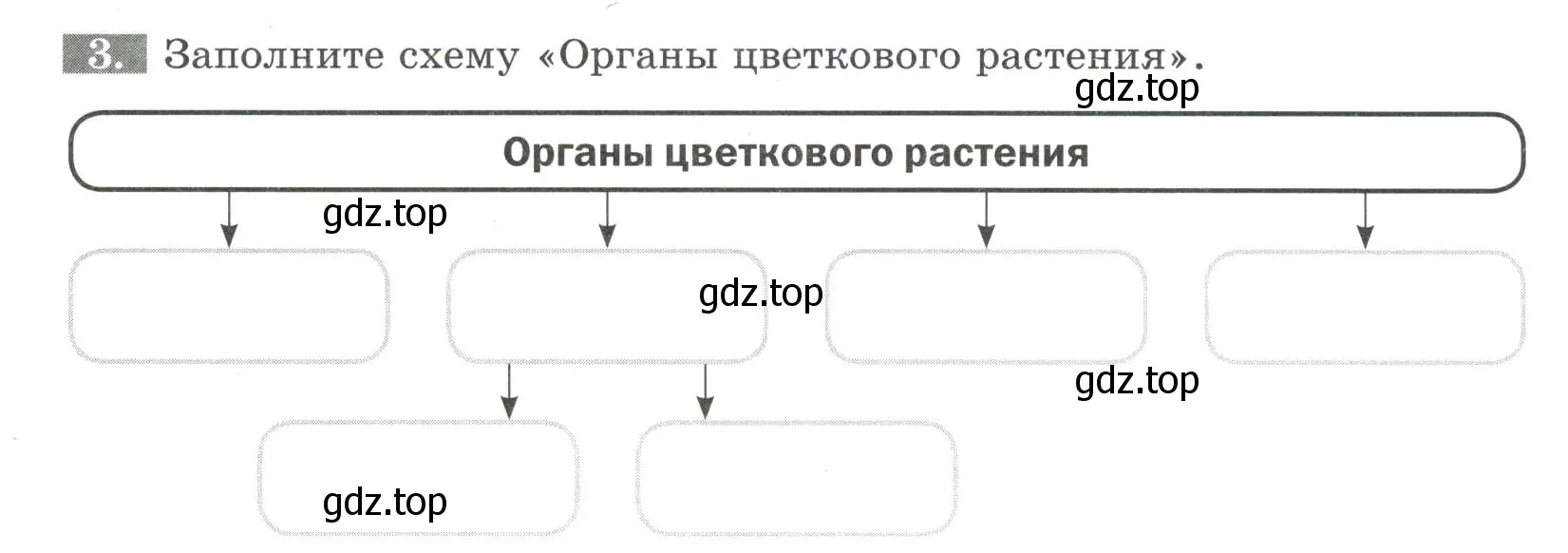 Условие номер 3 (страница 22) гдз по биологии 6 класс Пасечник, Суматохин, рабочая тетрадь