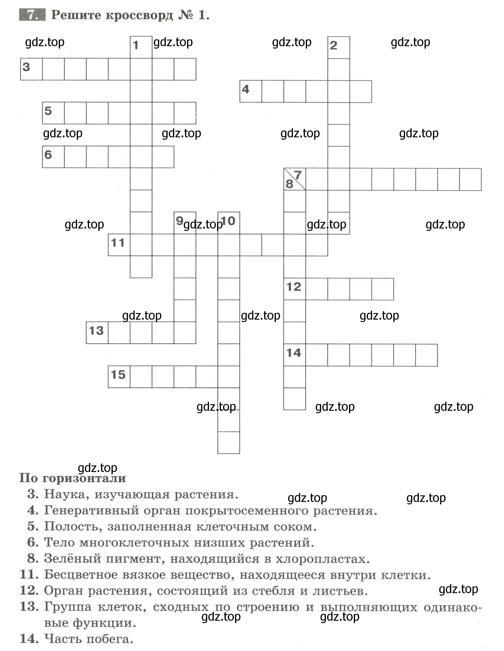 Условие номер 7 (страница 24) гдз по биологии 6 класс Пасечник, Суматохин, рабочая тетрадь