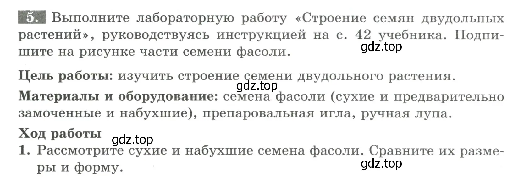 Условие номер 5 (страница 32) гдз по биологии 6 класс Пасечник, Суматохин, рабочая тетрадь