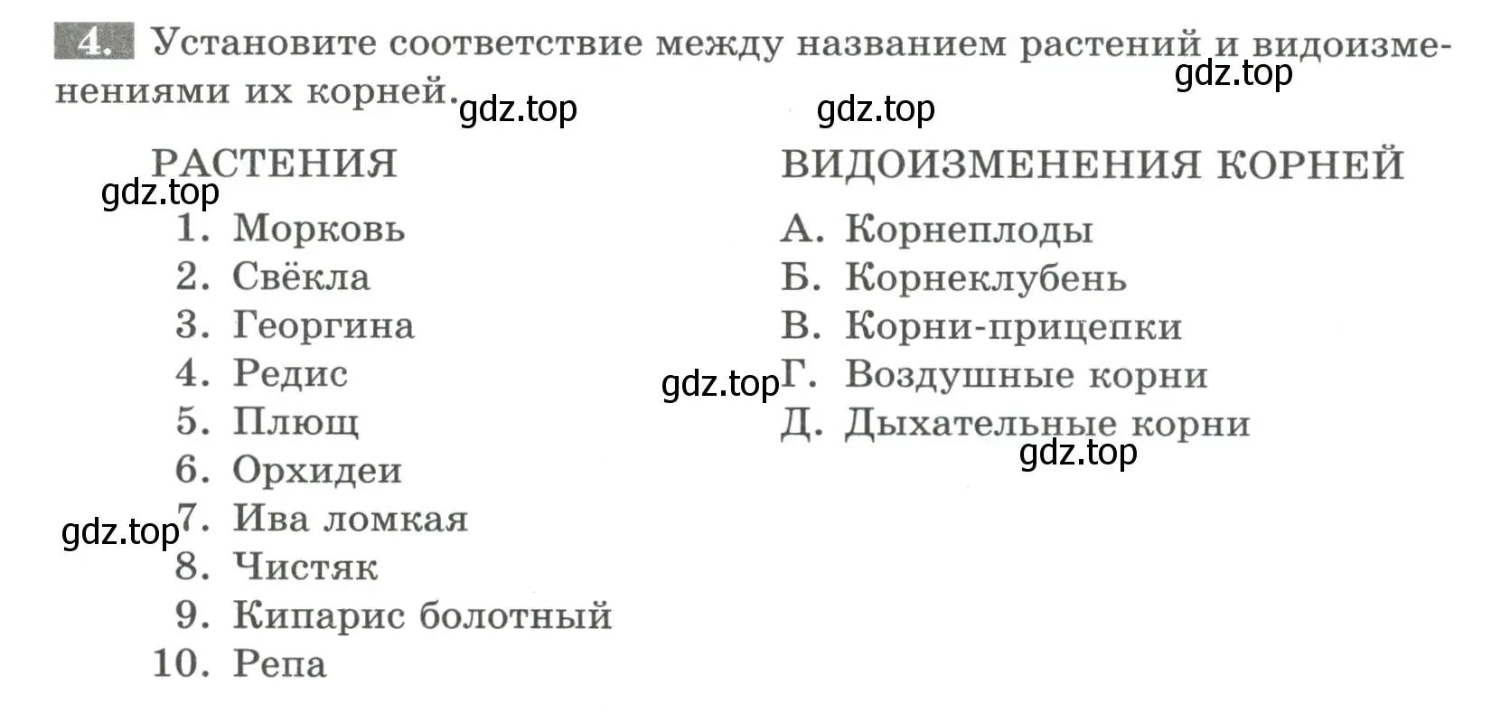 Условие номер 4 (страница 41) гдз по биологии 6 класс Пасечник, Суматохин, рабочая тетрадь