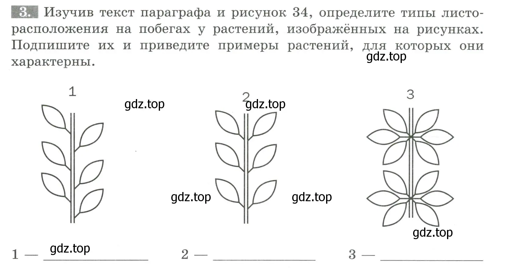 Условие номер 3 (страница 43) гдз по биологии 6 класс Пасечник, Суматохин, рабочая тетрадь