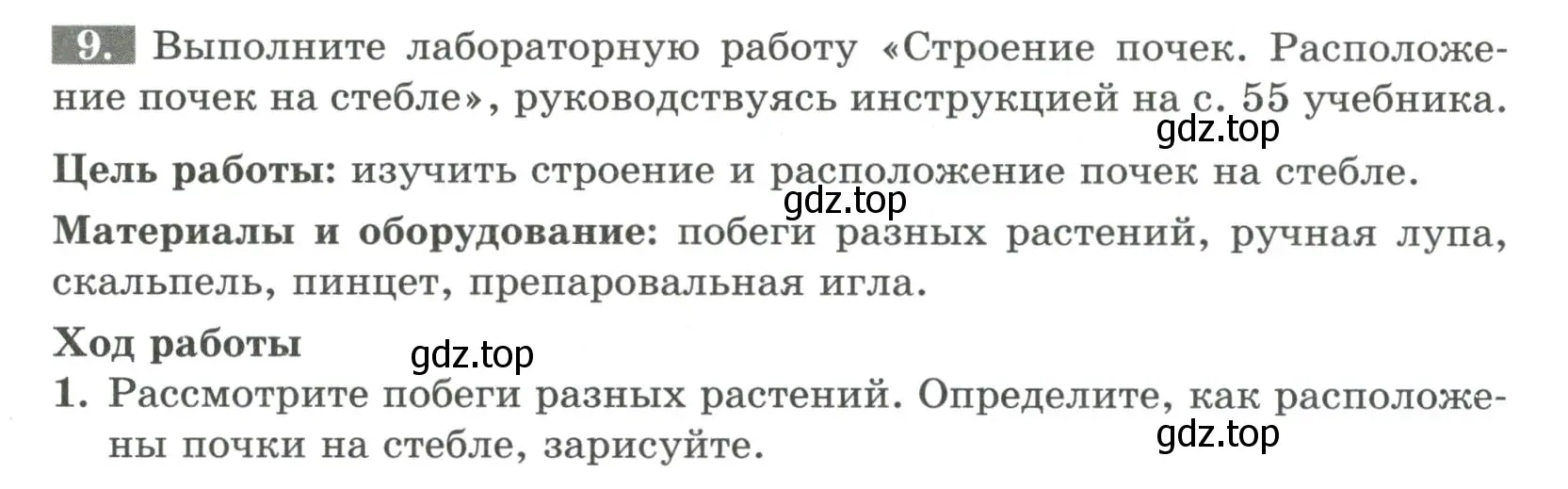 Условие номер 9 (страница 45) гдз по биологии 6 класс Пасечник, Суматохин, рабочая тетрадь