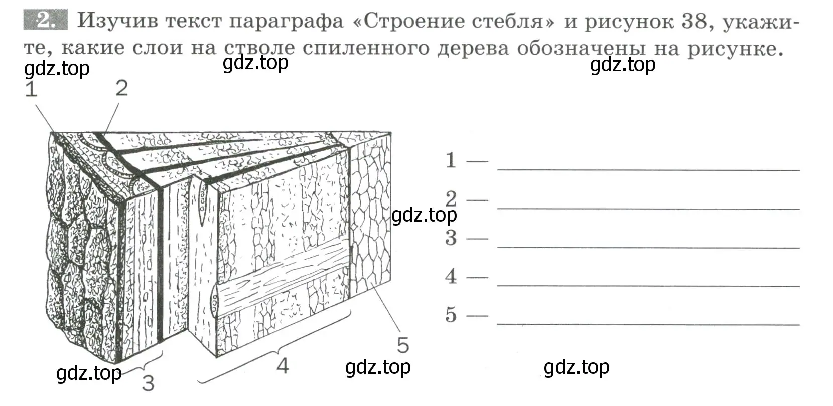 Условие номер 2 (страница 47) гдз по биологии 6 класс Пасечник, Суматохин, рабочая тетрадь