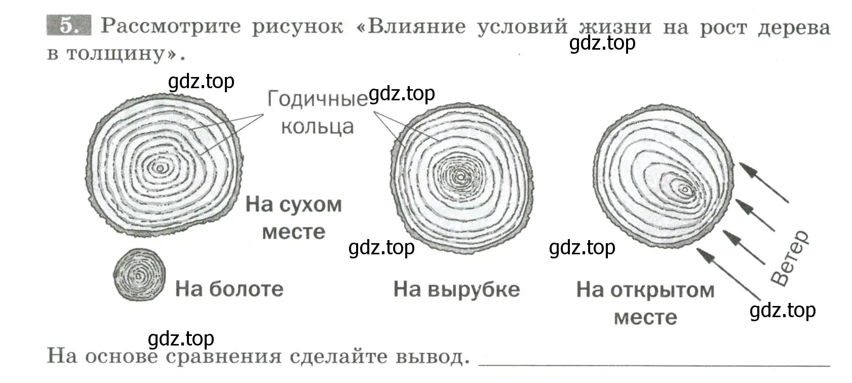 Условие номер 5 (страница 49) гдз по биологии 6 класс Пасечник, Суматохин, рабочая тетрадь