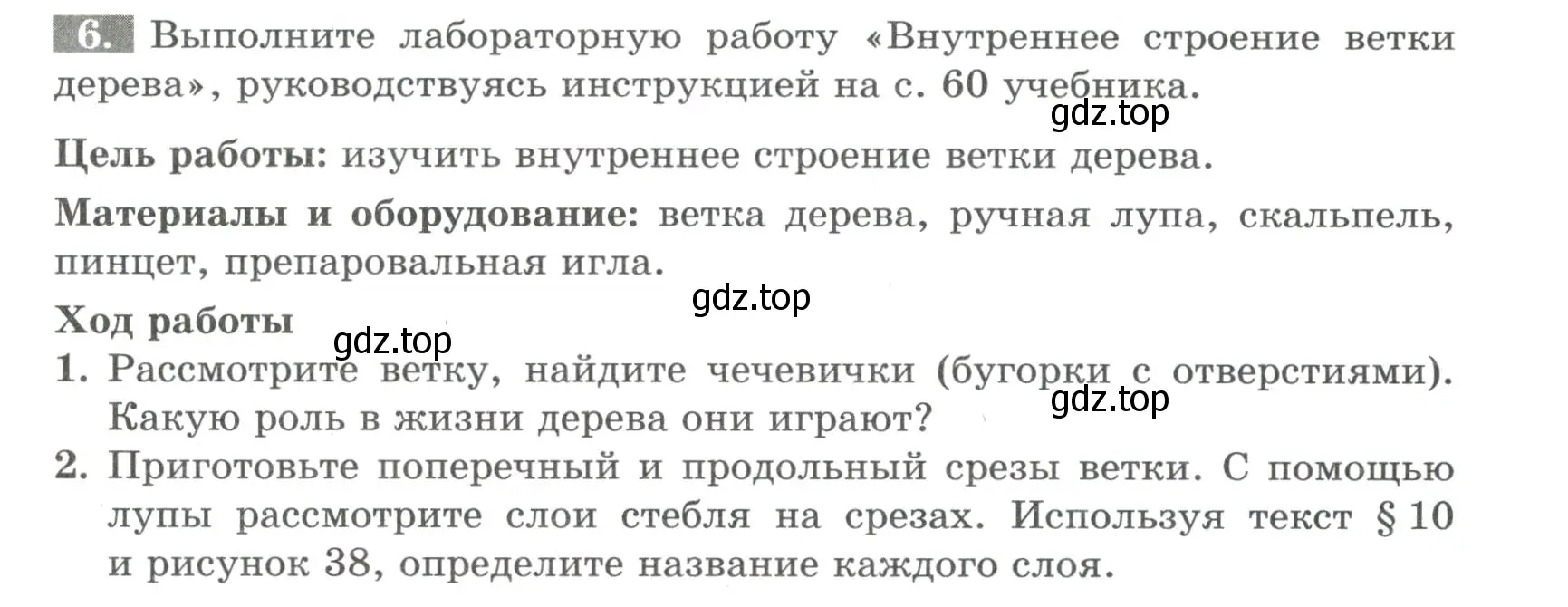 Условие номер 6 (страница 49) гдз по биологии 6 класс Пасечник, Суматохин, рабочая тетрадь