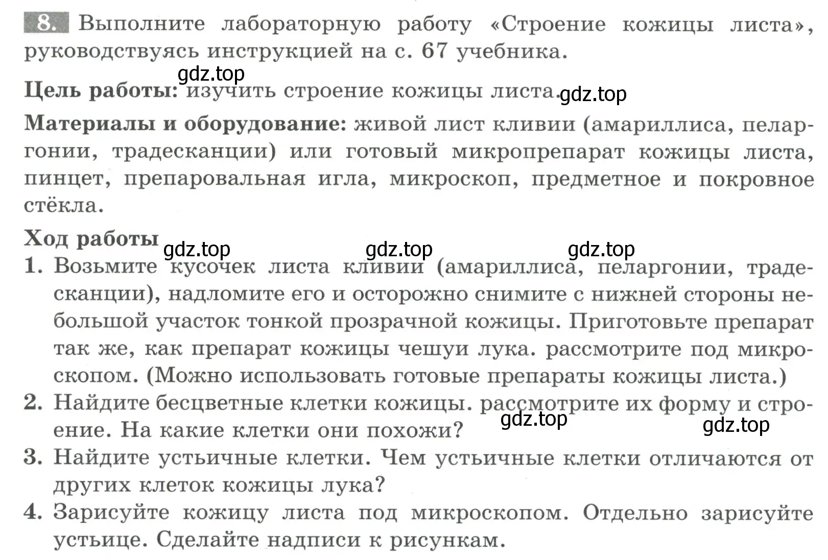 Условие номер 8 (страница 55) гдз по биологии 6 класс Пасечник, Суматохин, рабочая тетрадь