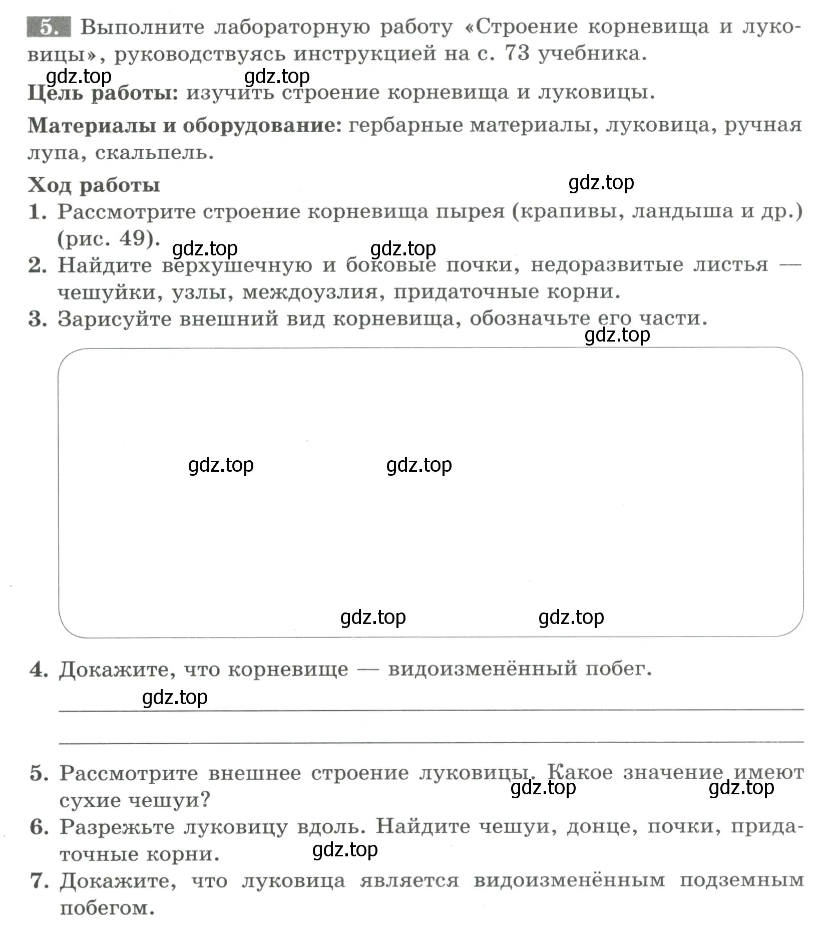 Условие номер 5 (страница 60) гдз по биологии 6 класс Пасечник, Суматохин, рабочая тетрадь