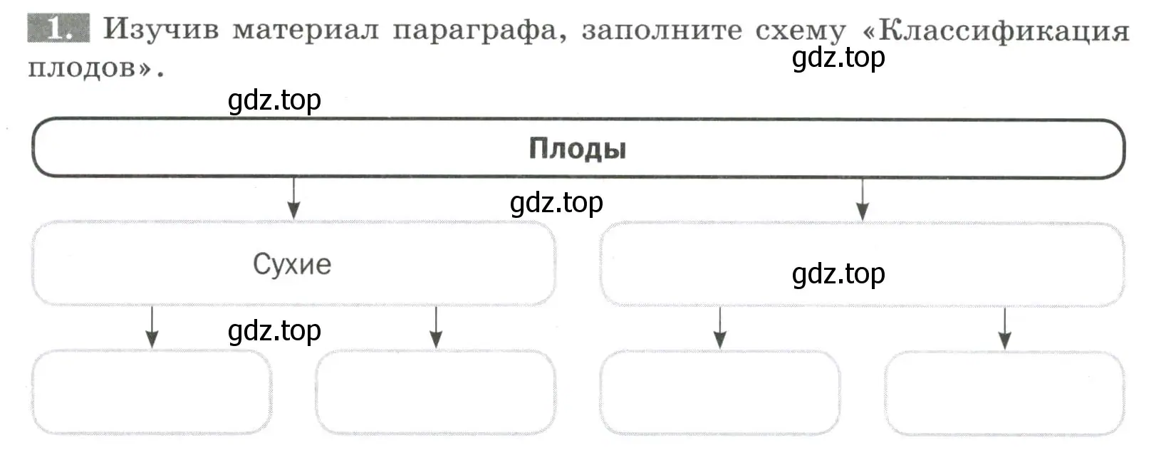 Условие номер 1 (страница 67) гдз по биологии 6 класс Пасечник, Суматохин, рабочая тетрадь