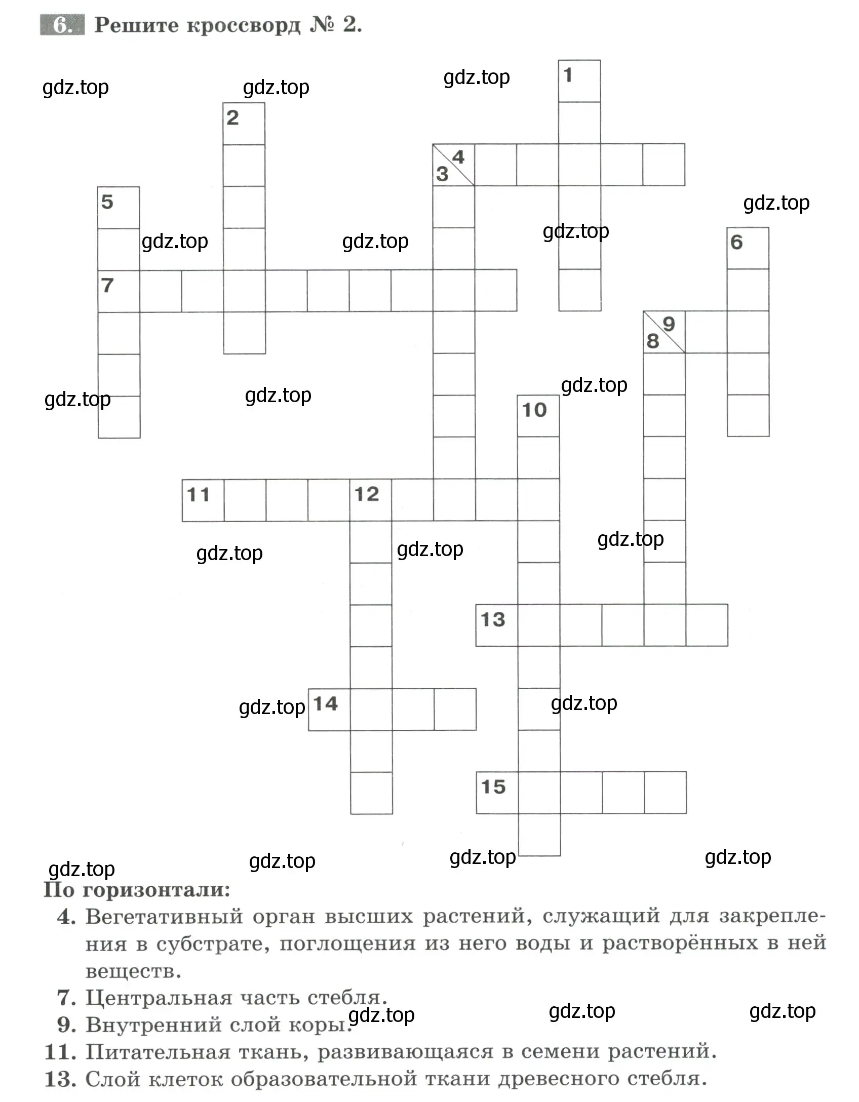 Условие номер 6 (страница 70) гдз по биологии 6 класс Пасечник, Суматохин, рабочая тетрадь