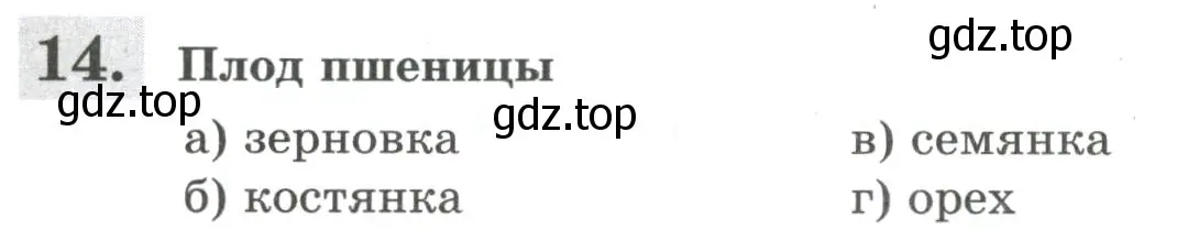 Условие номер 14 (страница 73) гдз по биологии 6 класс Пасечник, Суматохин, рабочая тетрадь