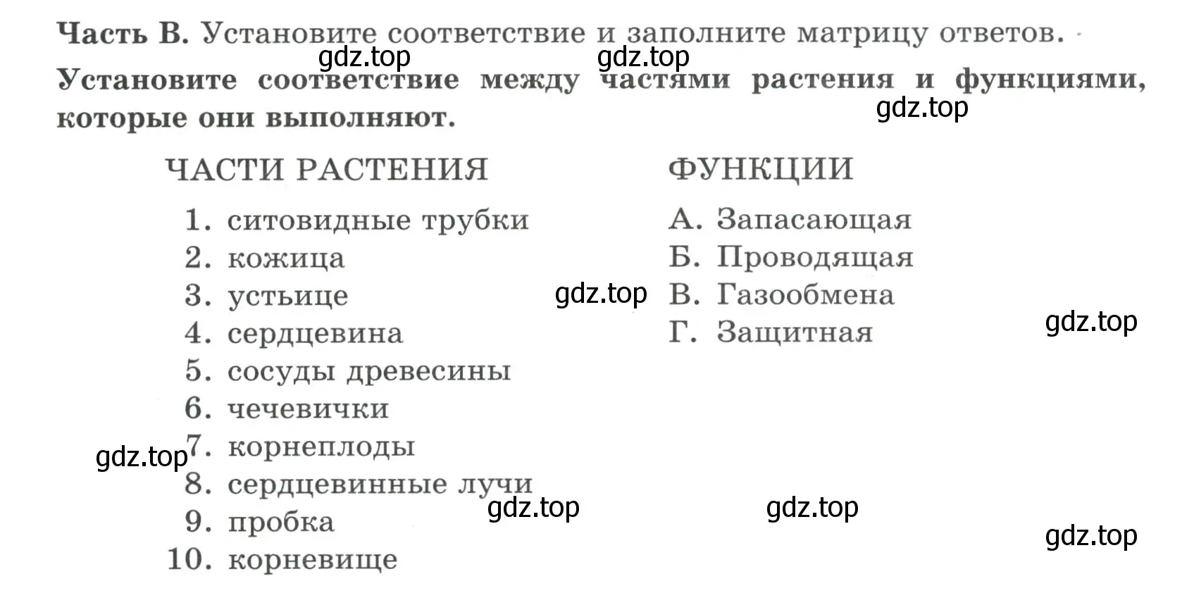 Условие номер 1 (страница 74) гдз по биологии 6 класс Пасечник, Суматохин, рабочая тетрадь