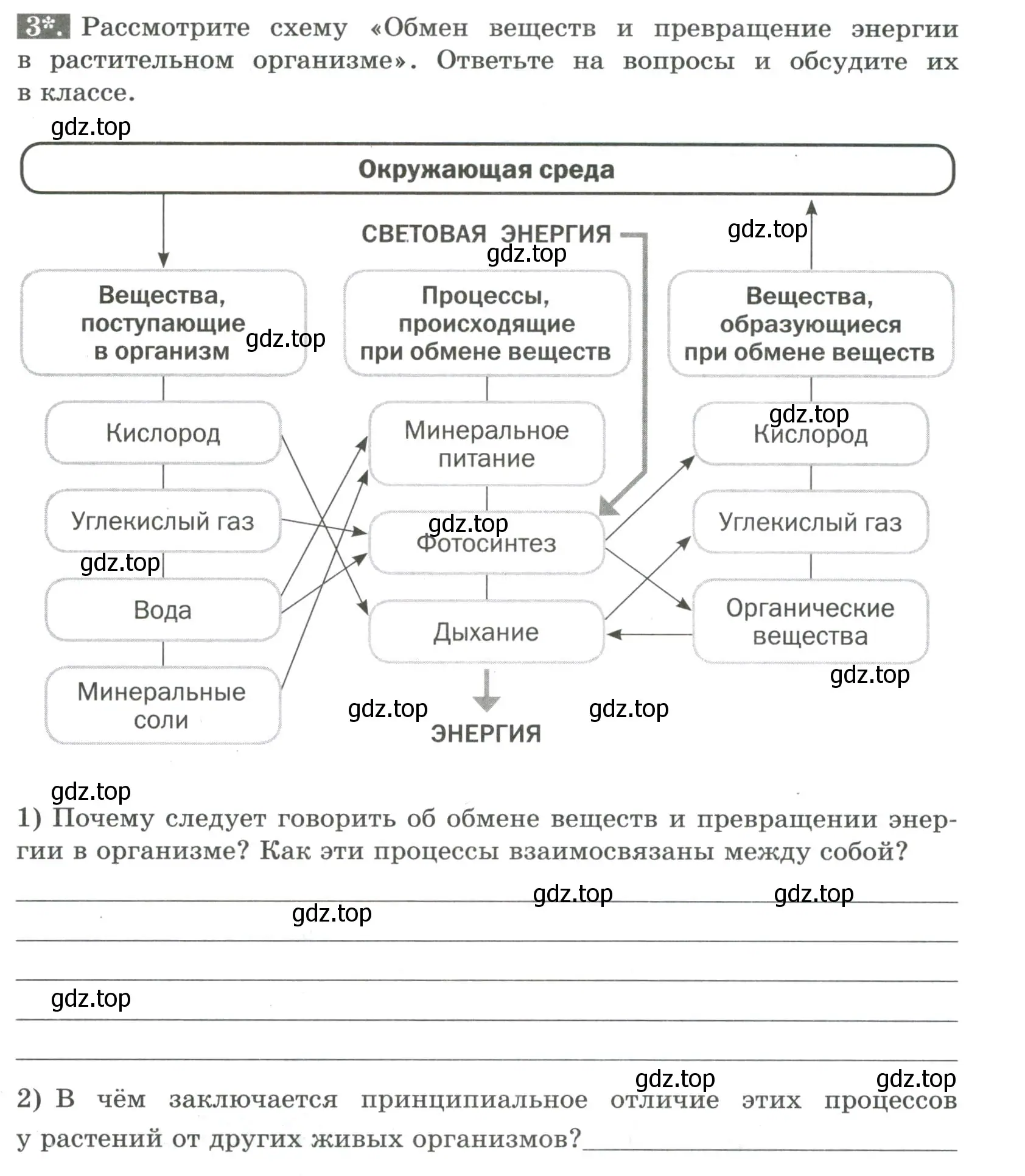 Условие номер 3 (страница 77) гдз по биологии 6 класс Пасечник, Суматохин, рабочая тетрадь