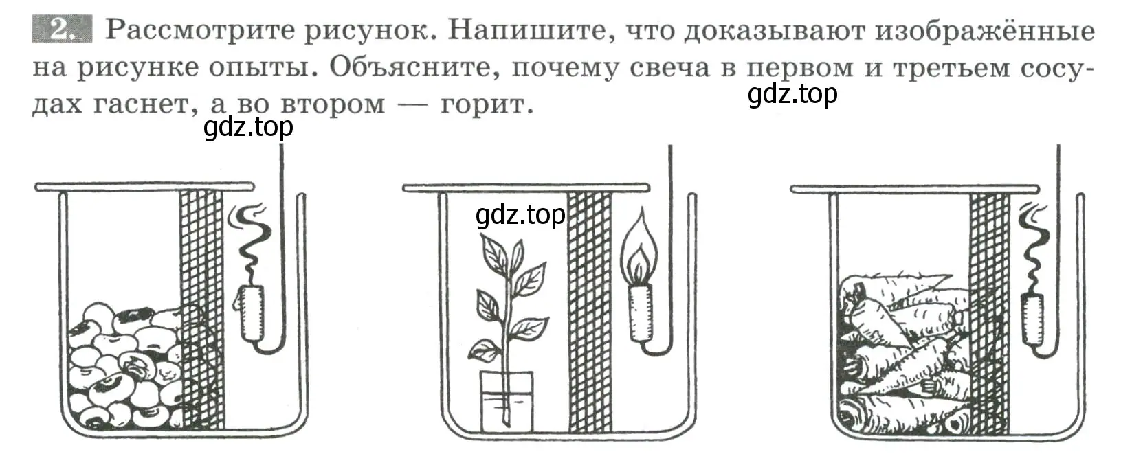 Условие номер 2 (страница 83) гдз по биологии 6 класс Пасечник, Суматохин, рабочая тетрадь