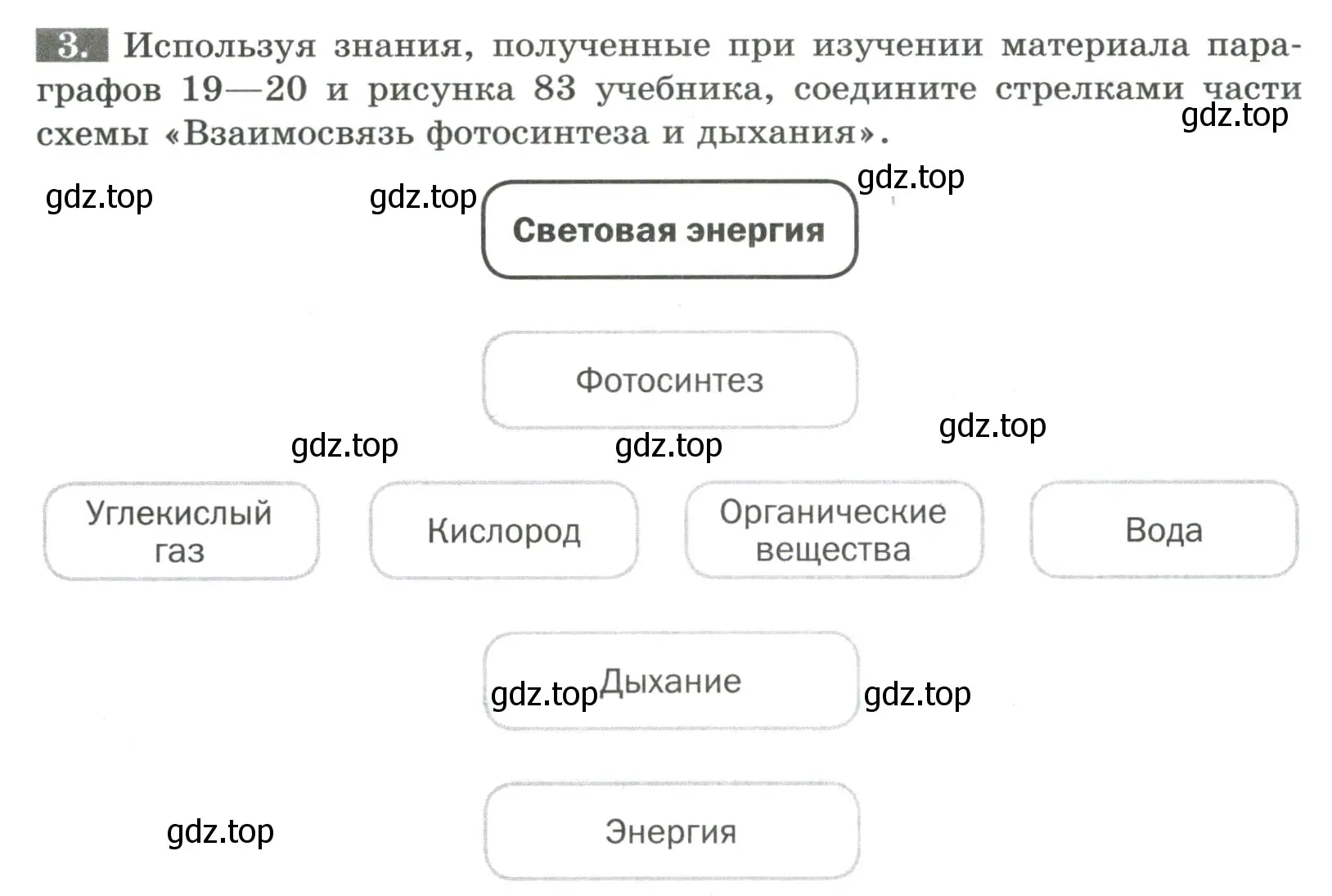 Условие номер 3 (страница 84) гдз по биологии 6 класс Пасечник, Суматохин, рабочая тетрадь