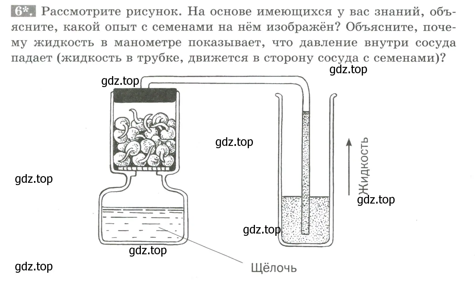 Условие номер 6 (страница 85) гдз по биологии 6 класс Пасечник, Суматохин, рабочая тетрадь