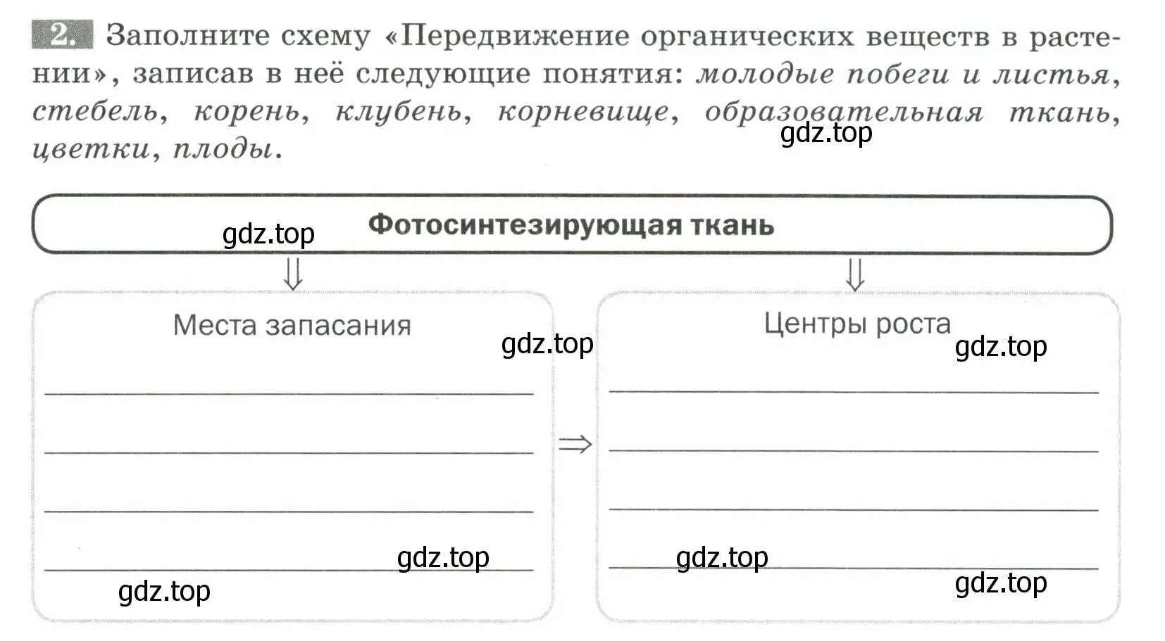 Условие номер 2 (страница 87) гдз по биологии 6 класс Пасечник, Суматохин, рабочая тетрадь