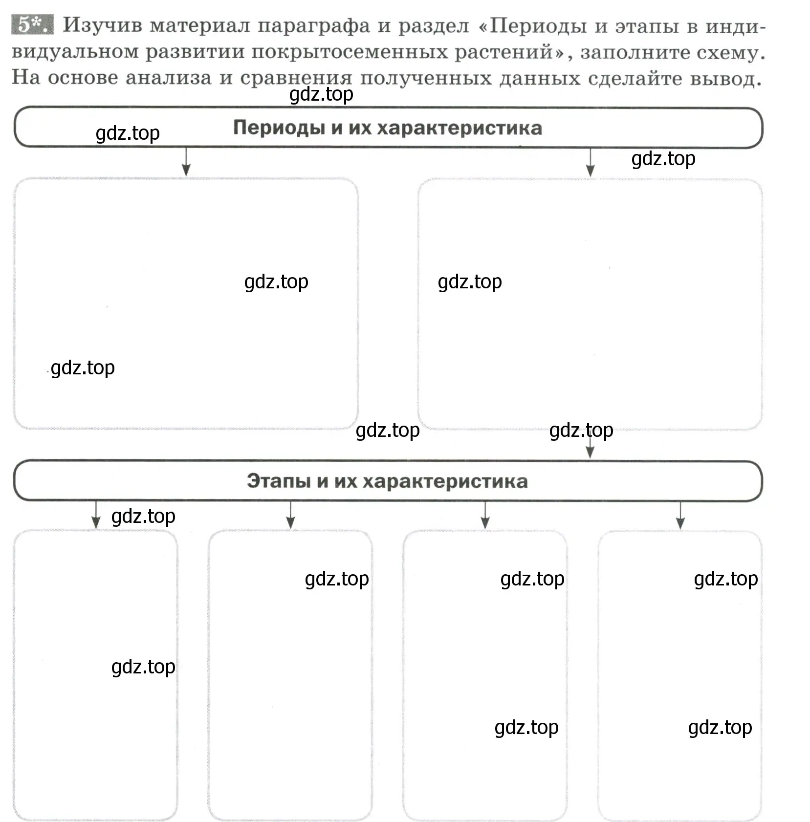 Условие номер 5 (страница 95) гдз по биологии 6 класс Пасечник, Суматохин, рабочая тетрадь