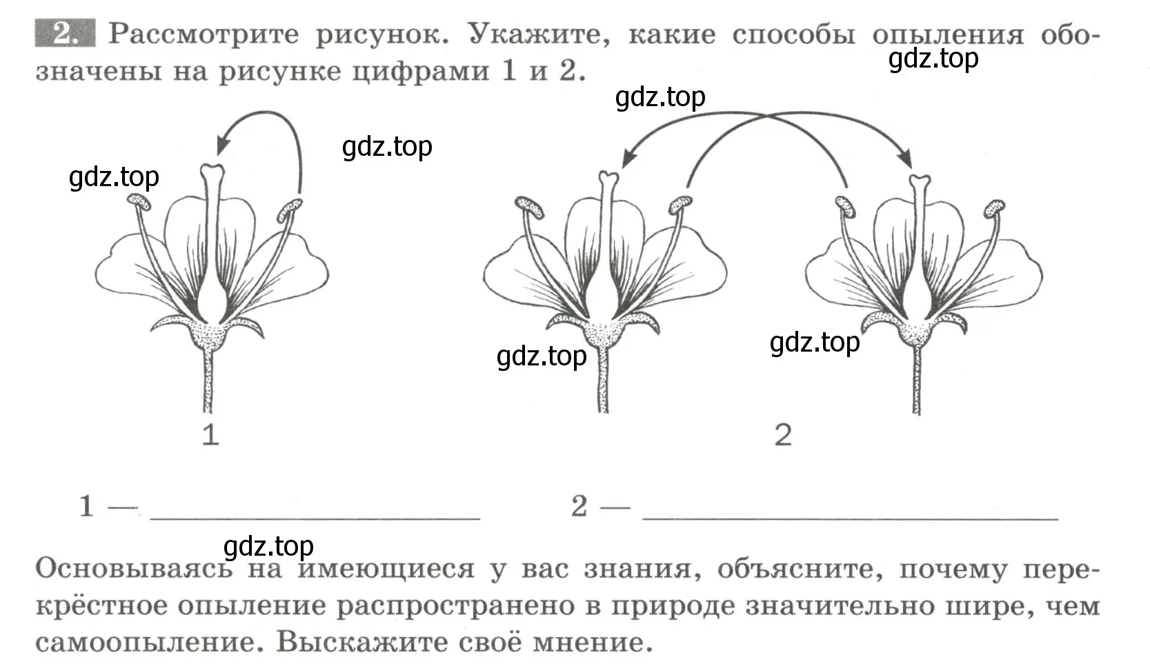 Условие номер 2 (страница 97) гдз по биологии 6 класс Пасечник, Суматохин, рабочая тетрадь