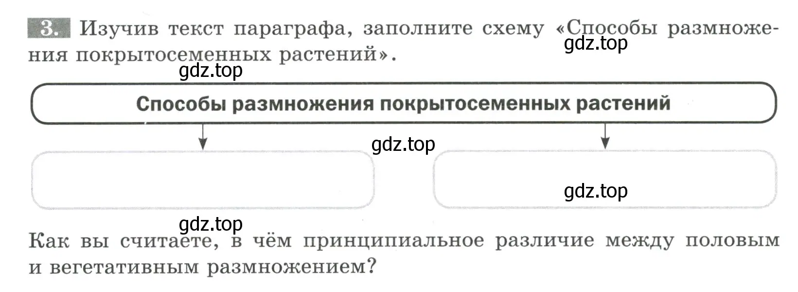 Условие номер 3 (страница 98) гдз по биологии 6 класс Пасечник, Суматохин, рабочая тетрадь