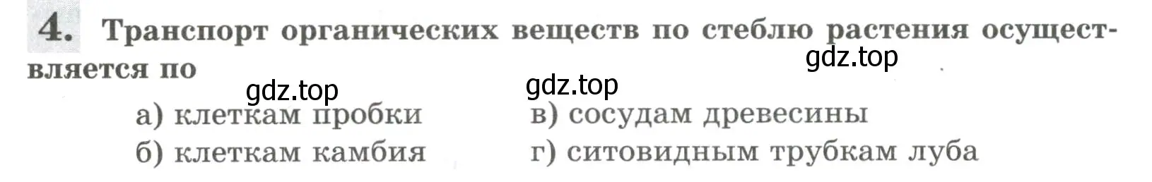 Условие номер 4 (страница 104) гдз по биологии 6 класс Пасечник, Суматохин, рабочая тетрадь