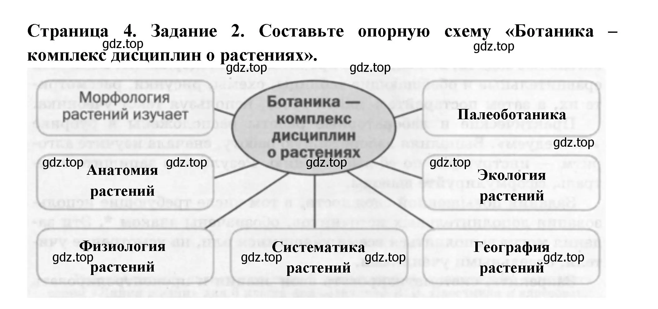 Решение номер 2 (страница 4) гдз по биологии 6 класс Пасечник, Суматохин, рабочая тетрадь