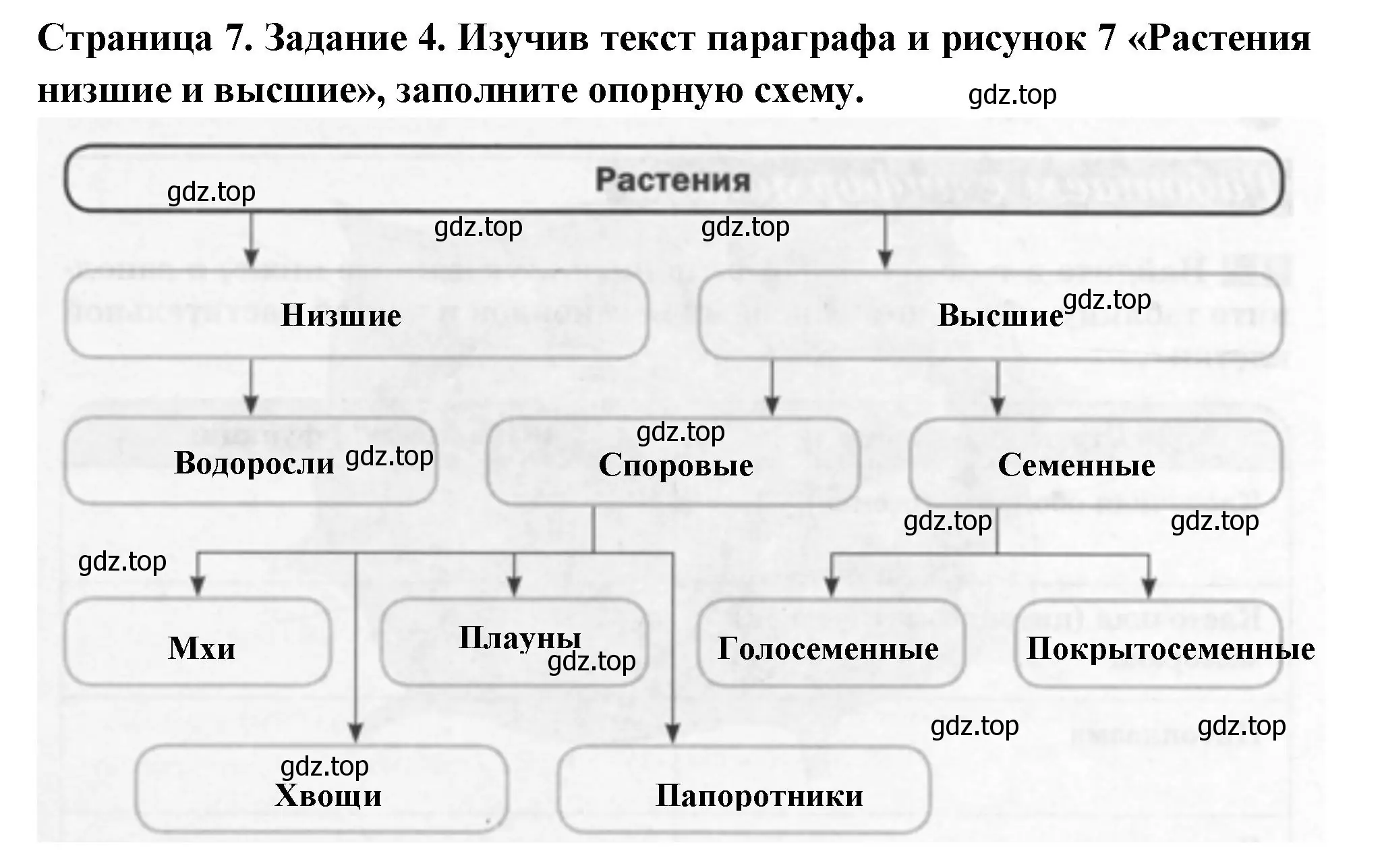 Решение номер 4 (страница 7) гдз по биологии 6 класс Пасечник, Суматохин, рабочая тетрадь