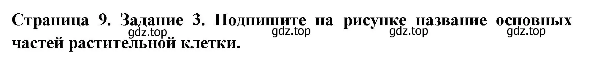 Решение номер 3 (страница 9) гдз по биологии 6 класс Пасечник, Суматохин, рабочая тетрадь