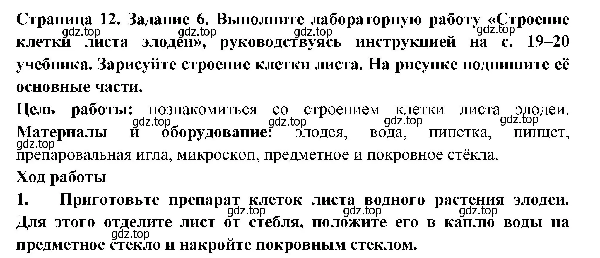 Решение номер 6 (страница 12) гдз по биологии 6 класс Пасечник, Суматохин, рабочая тетрадь