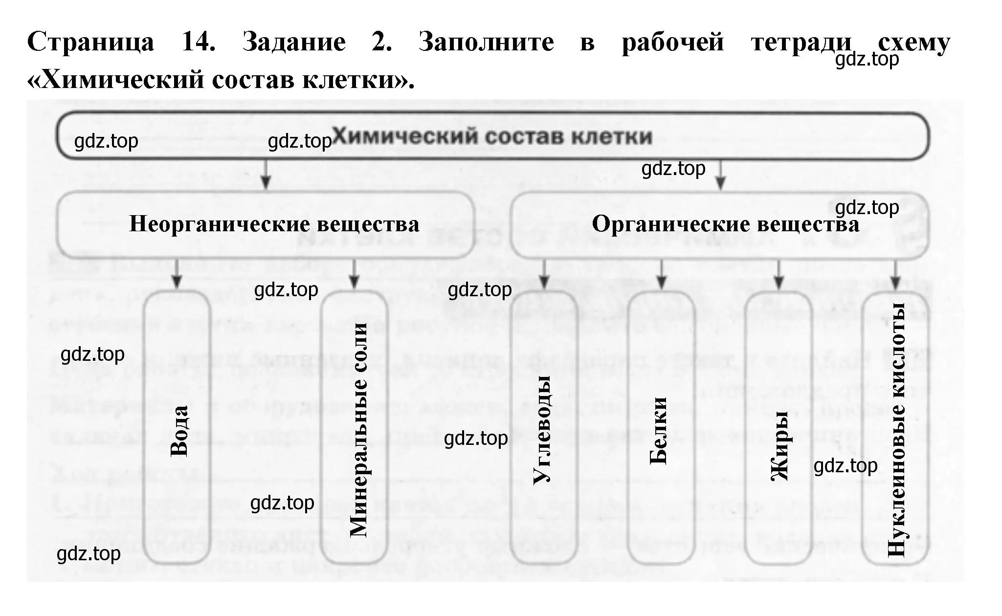 Решение номер 2 (страница 14) гдз по биологии 6 класс Пасечник, Суматохин, рабочая тетрадь