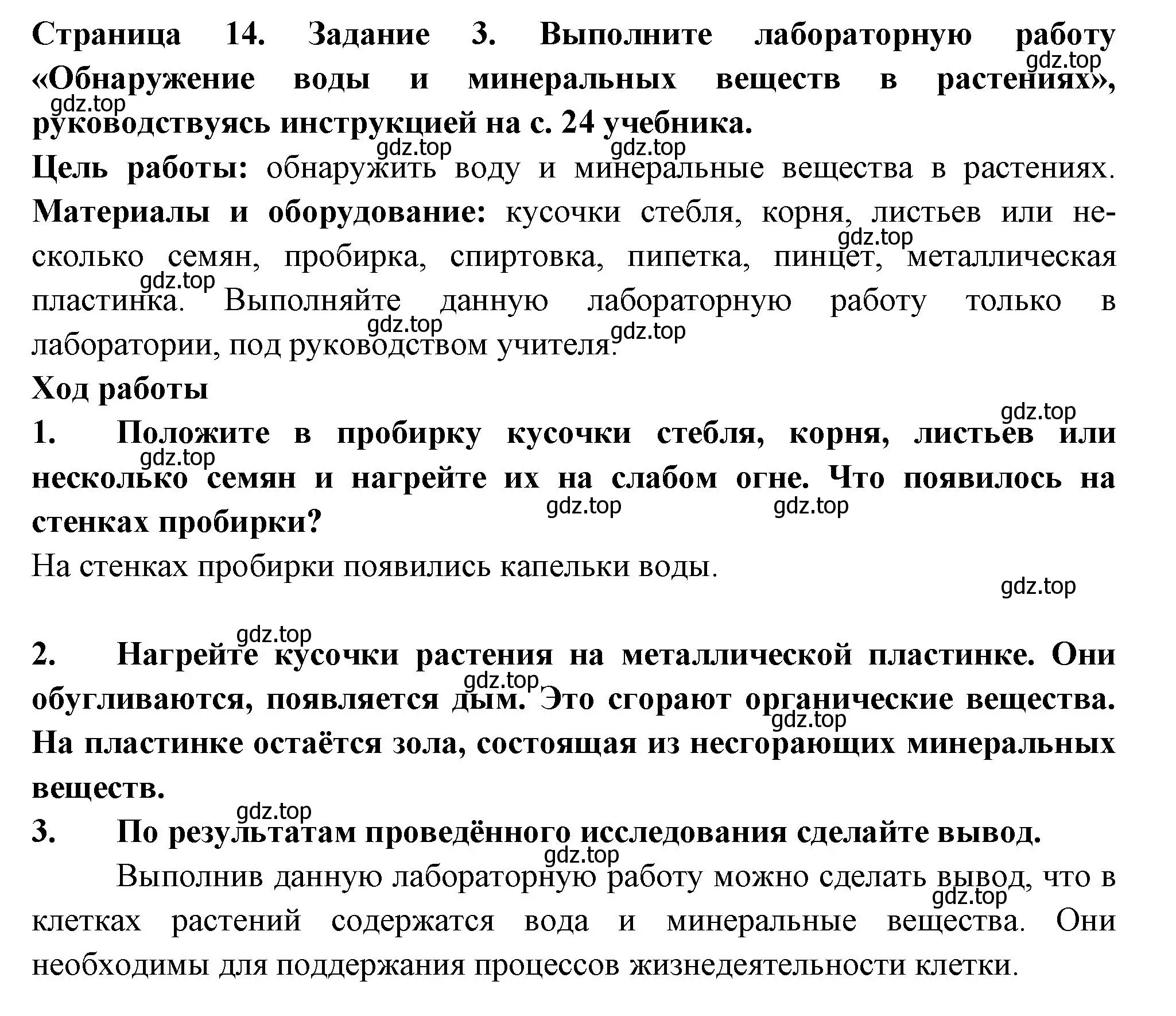 Решение номер 3 (страница 14) гдз по биологии 6 класс Пасечник, Суматохин, рабочая тетрадь