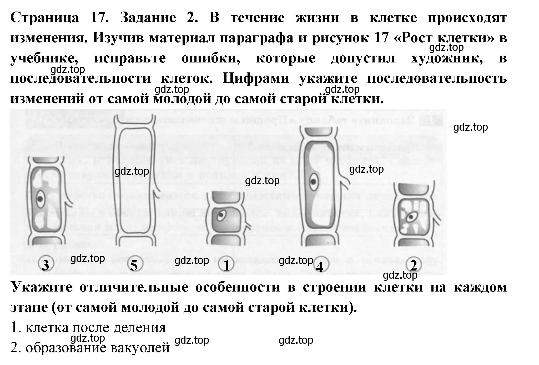 Решение номер 2 (страница 17) гдз по биологии 6 класс Пасечник, Суматохин, рабочая тетрадь