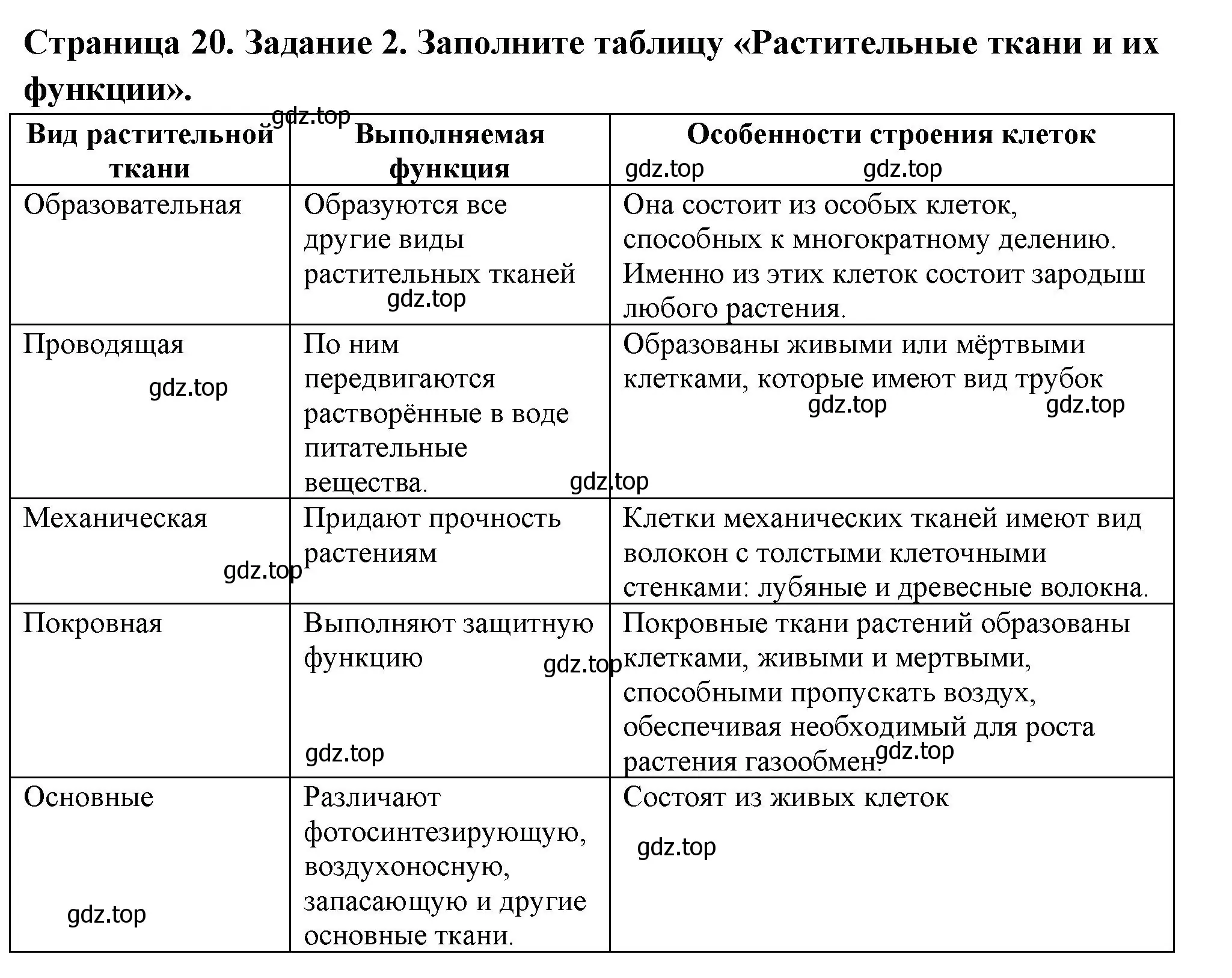 Решение номер 2 (страница 20) гдз по биологии 6 класс Пасечник, Суматохин, рабочая тетрадь