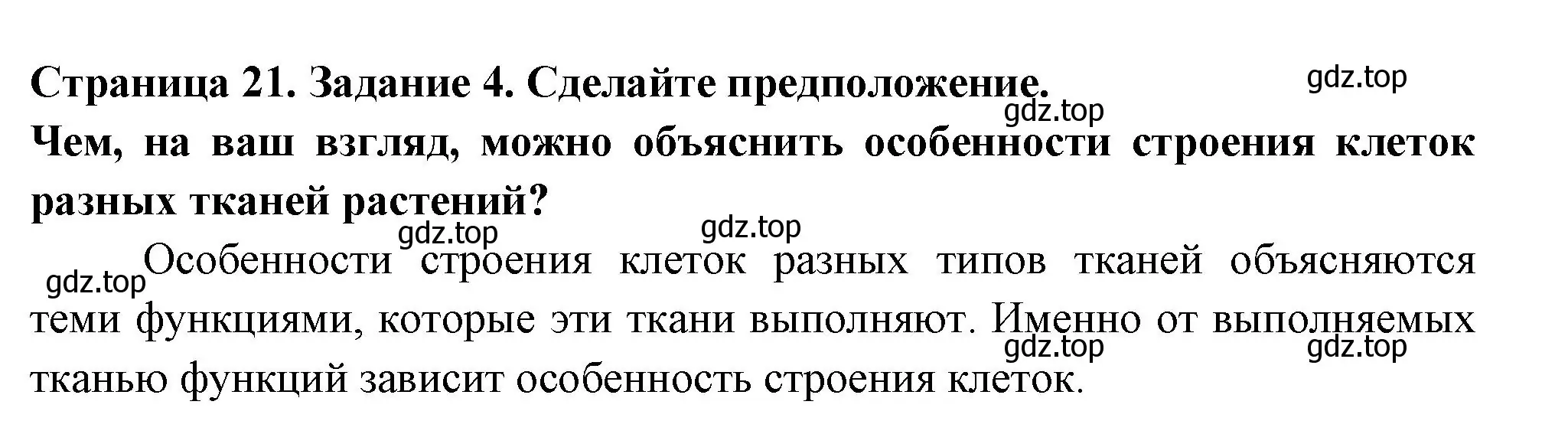 Решение номер 4 (страница 21) гдз по биологии 6 класс Пасечник, Суматохин, рабочая тетрадь