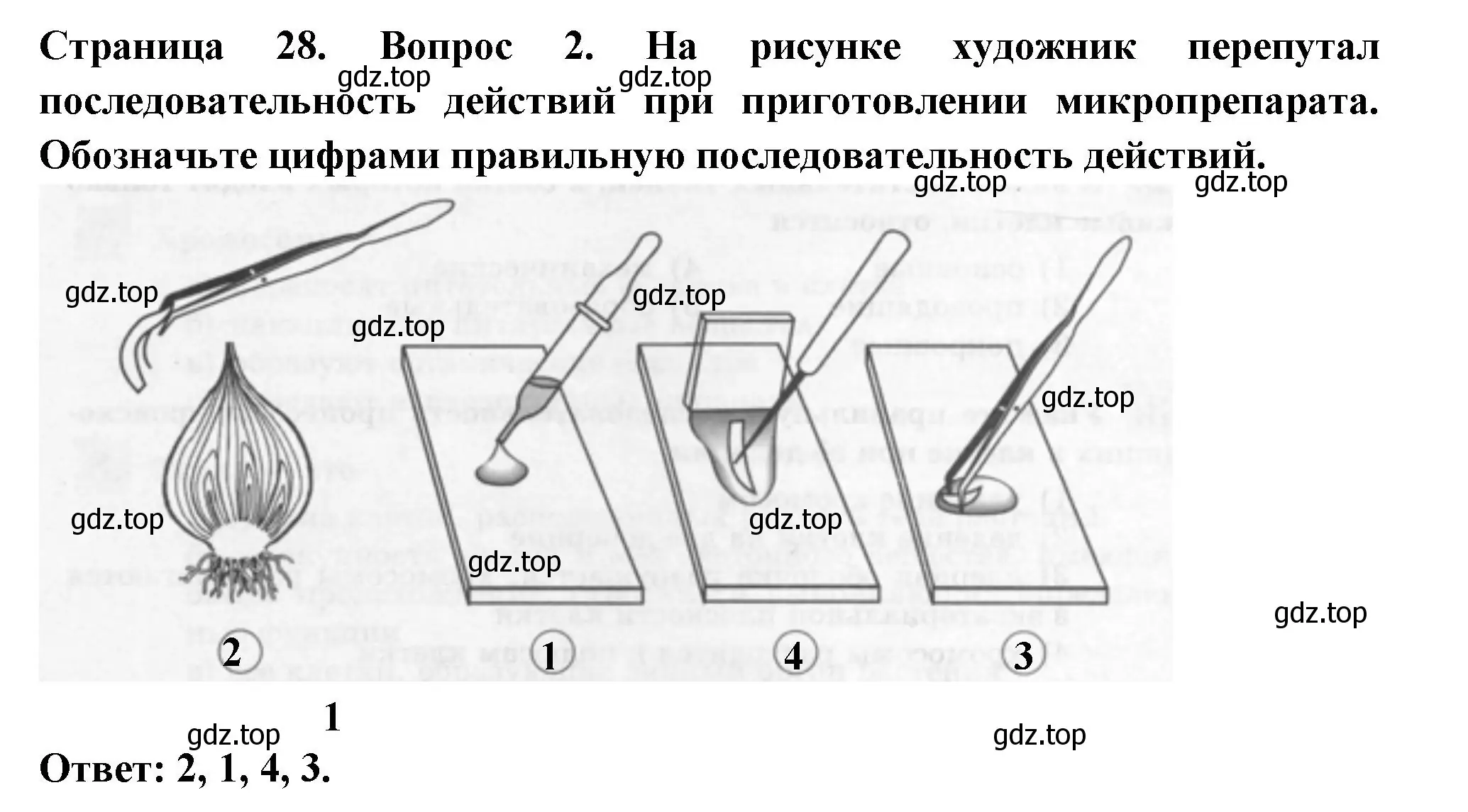 Решение номер 2 (страница 28) гдз по биологии 6 класс Пасечник, Суматохин, рабочая тетрадь